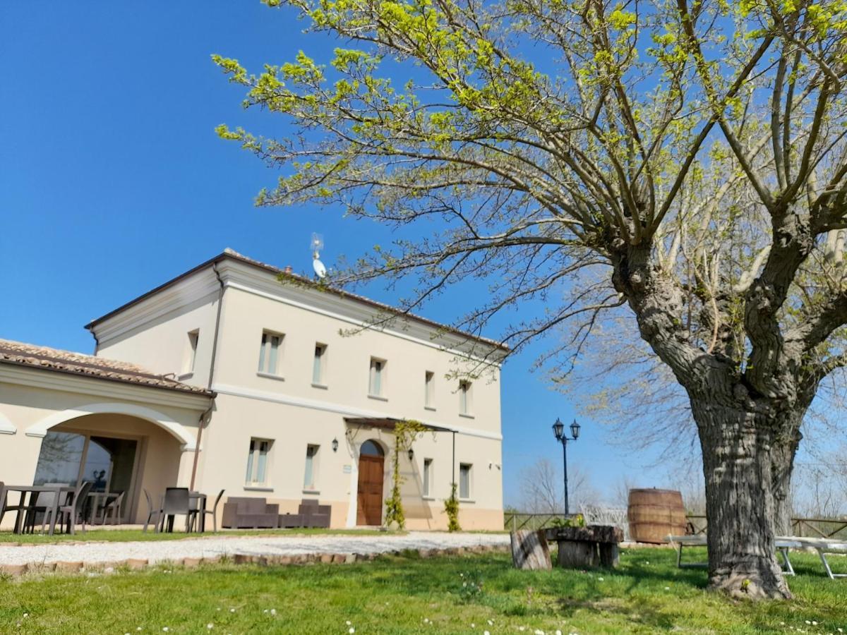 Villa Marietta Country House - Marche Montemaggiore al Metauro Eksteriør bilde