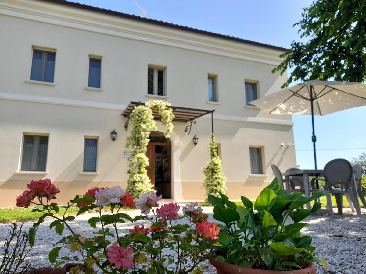 Villa Marietta Country House - Marche Montemaggiore al Metauro Eksteriør bilde