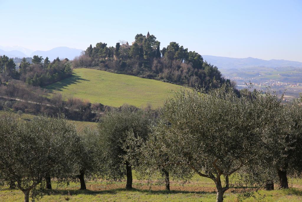 Villa Marietta Country House - Marche Montemaggiore al Metauro Eksteriør bilde